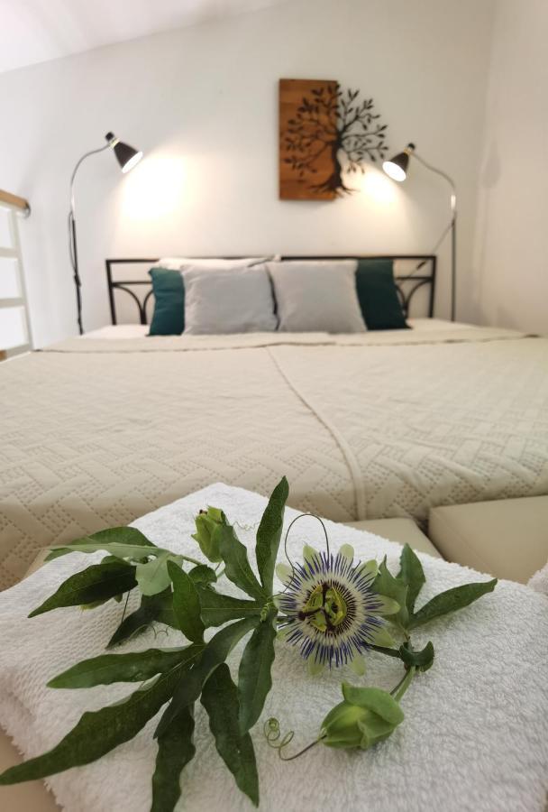 Zona Apartments 2 Beçkerek Dış mekan fotoğraf